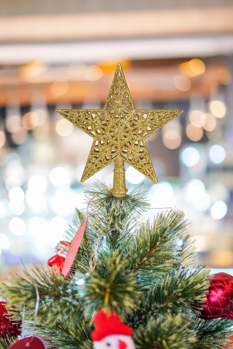 V├üNO─îN├Ź KORUNA | hv─Ťzda na stromek | zlat├í krajkov├í t┼Öpytiv├í - obr├ízek 2 | Tradi─Źn├ş odst├şny V├ínoc | Grand M├│da