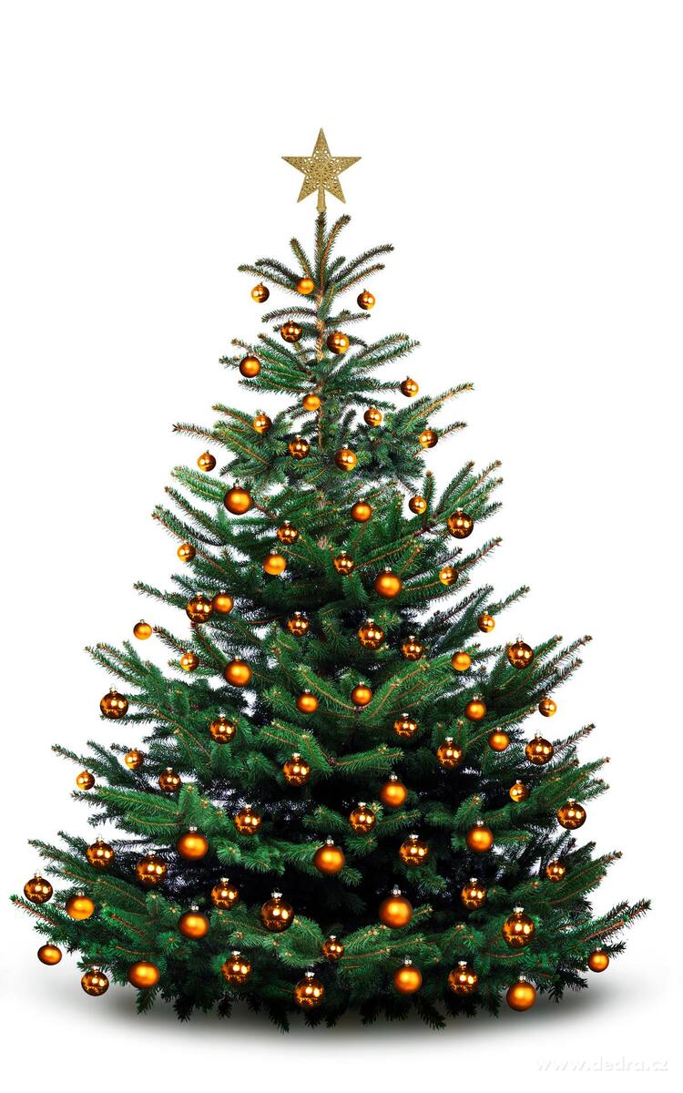 V├üNO─îN├Ź KORUNA | hv─Ťzda na stromek | zlat├í krajkov├í t┼Öpytiv├í - obr├ízek 4 | Tradi─Źn├ş odst├şny V├ínoc | Grand M├│da