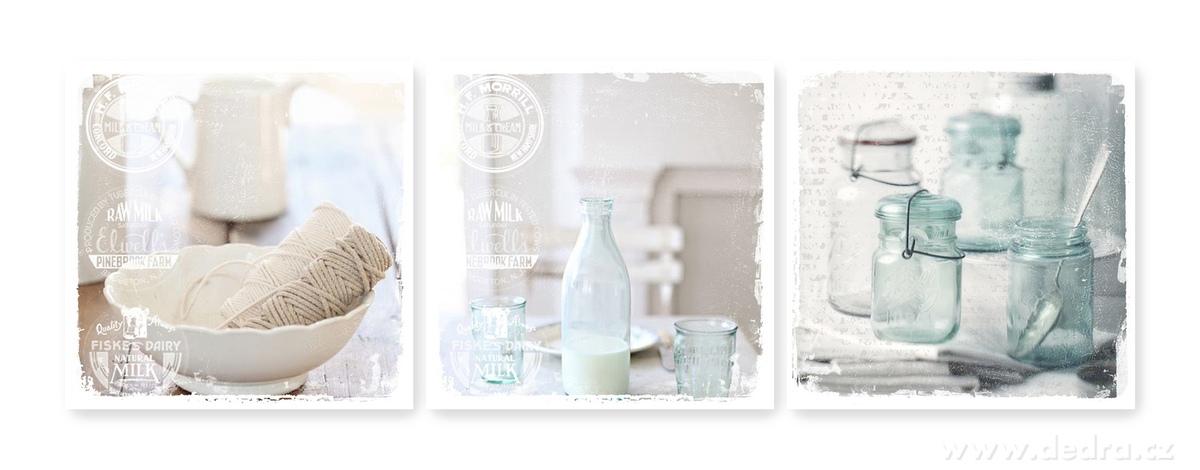 3ks obrazů na plátně, každý 28 x 28 cm | Nástďnné obrazy | Grand Móda