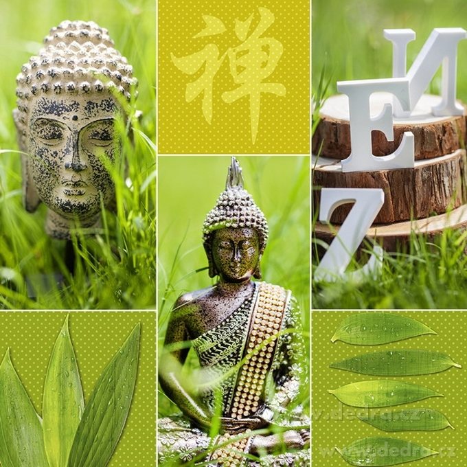 GREEN SERENITY, nástěnný obraz, 60 x 60 cm | Nástďnné obrazy | Grand Móda