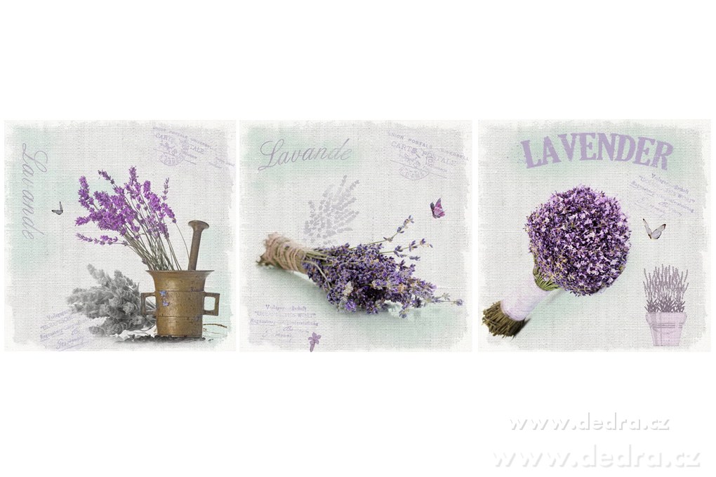 3ks obrazů na plátně, 28 x 28 cm | Obrazy a rámečky ­čľ╝´ŞĆ | Grand Móda