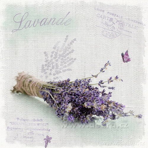 3ks obrazů na plátně, 28 x 28 cm – náhled 3 | Grand Móda