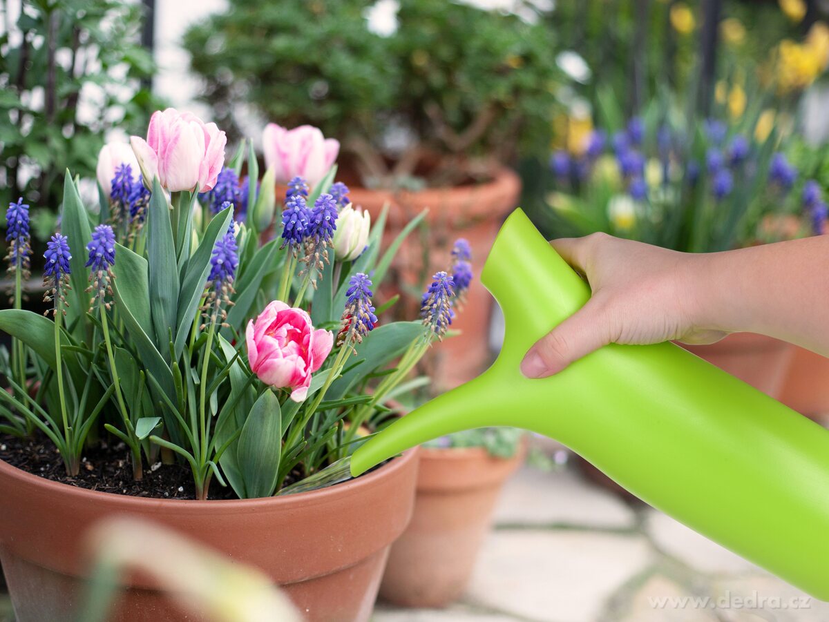 DIVA elegantní zalévací konvička – náhled 3 | Grand Móda