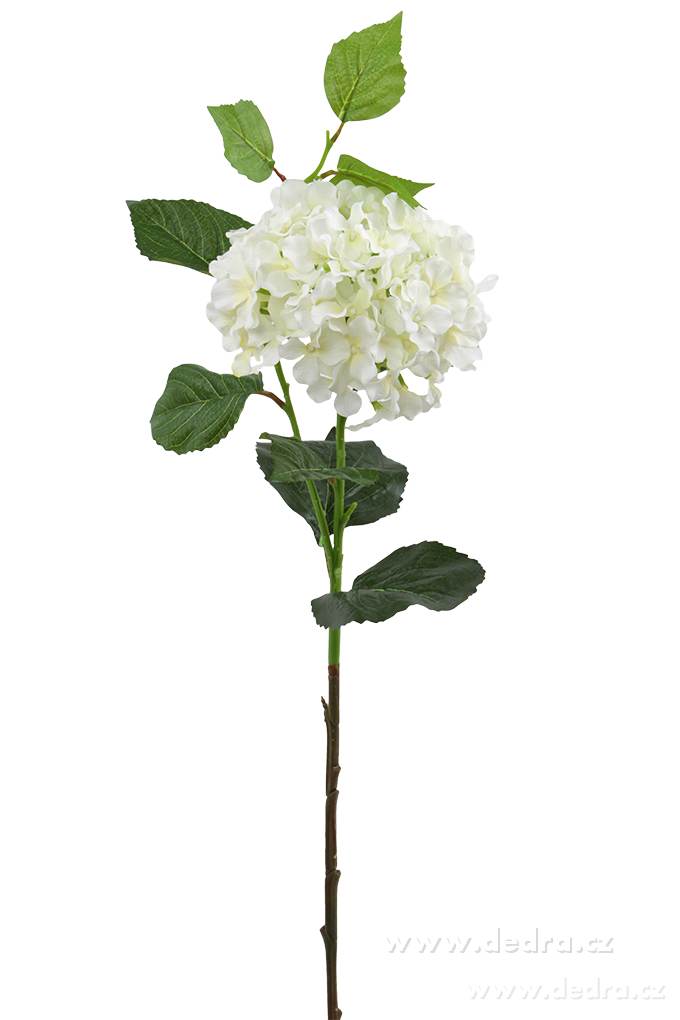 Hortenzie bílá, výška 88 cm | Ateliérové kvďtiny a spol. | Grand Móda
