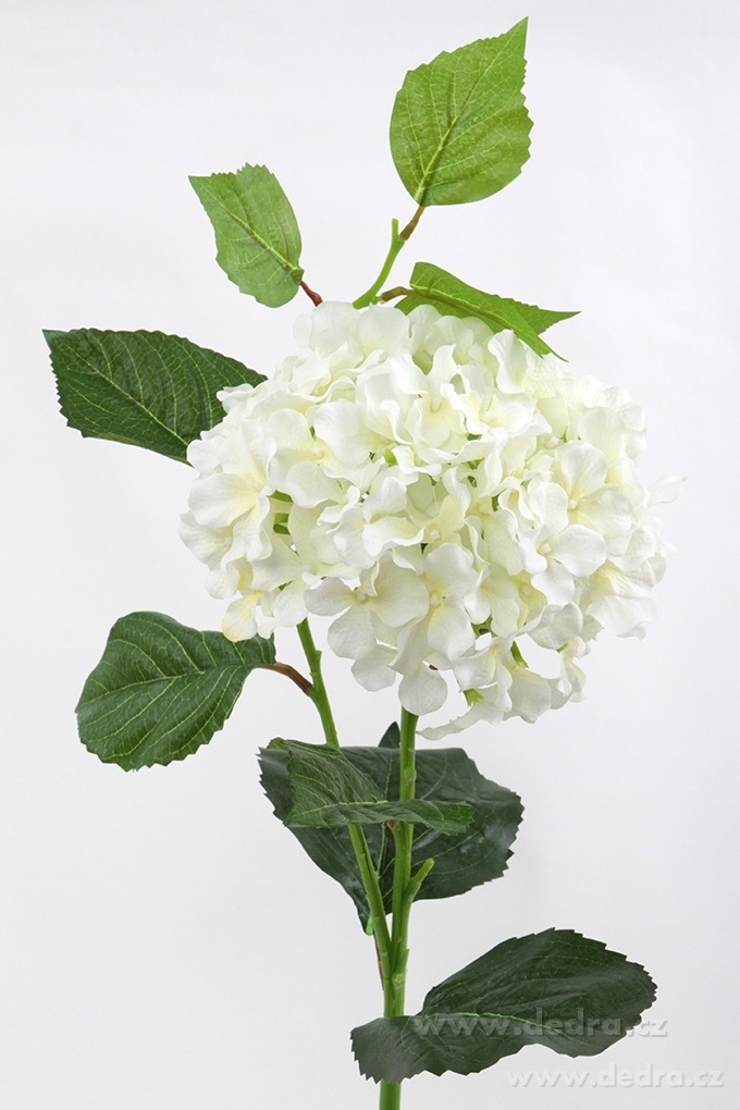 Hortenzie bílá, výška 88 cm – náhled 2 | Grand Móda