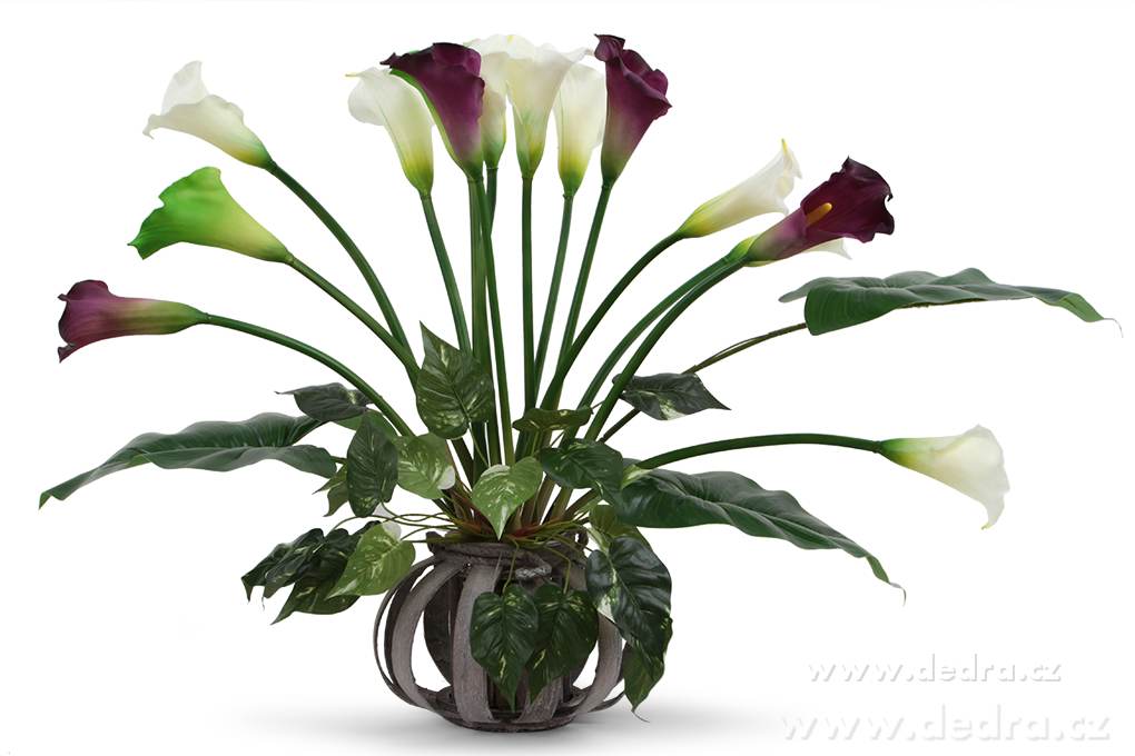 Calla bílá, výška 77 cm – náhled 3 | Grand Móda