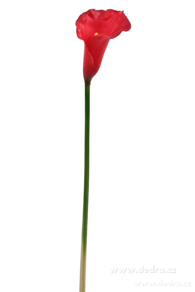 Calla červená, výška 77 cm – náhled 2 | Grand Móda