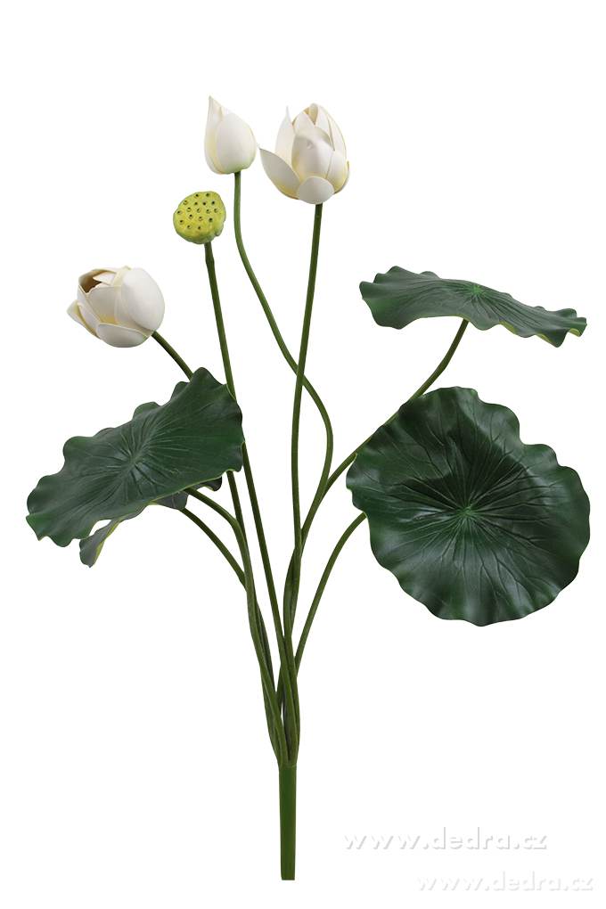 105 cm lotosové soukvětí, bílé | Ateliérové kvďtiny a spol. | Grand Móda