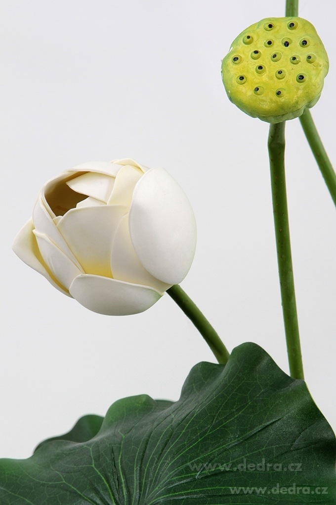 105 cm lotosové soukvětí, bílé – náhled 2 | Grand Móda