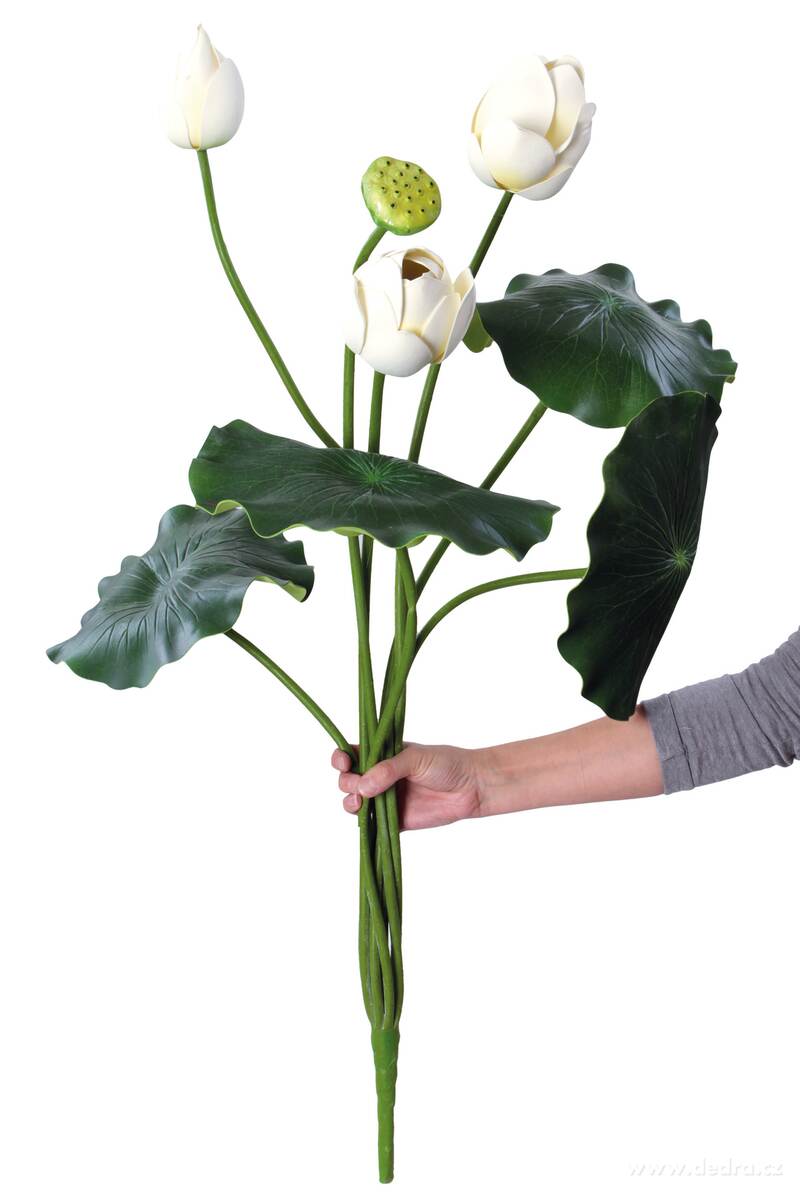 105 cm lotosové soukvětí, bílé – náhled 4 | Grand Móda
