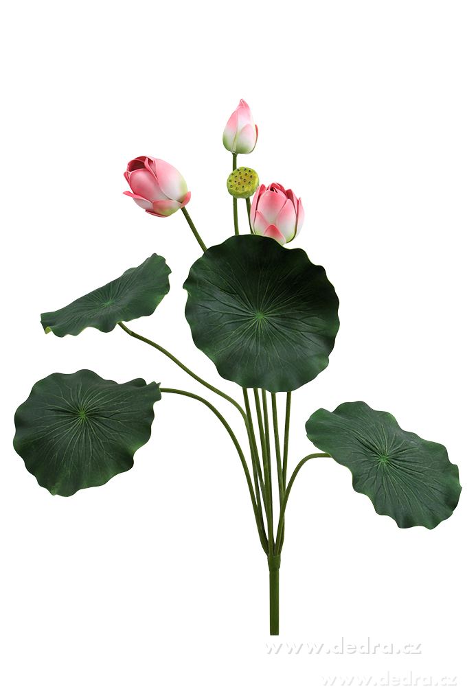 105 cm lotosové soukvětí, růžové | Ateliérové kvďtiny a spol. | Grand Móda