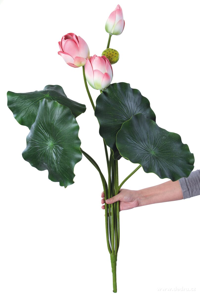 105 cm lotosové soukvětí, růžové – náhled 4 | Grand Móda