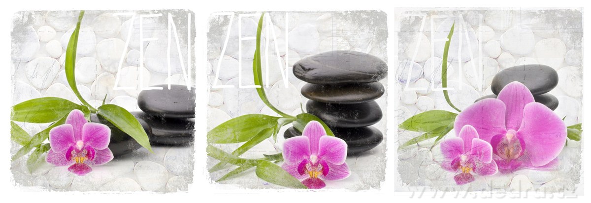 3 ks obrazů na plátně, 3x 28x28 cm | Obrazy a rámečky ­čľ╝´ŞĆ | Grand Móda