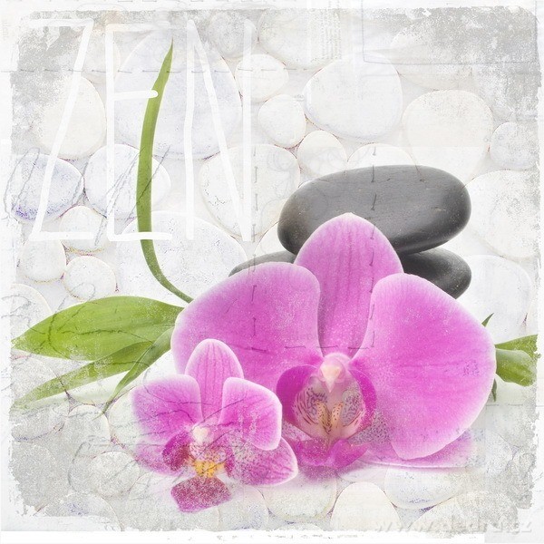 3 ks obrazů na plátně, 3x 28x28 cm – náhled 4 | Grand Móda