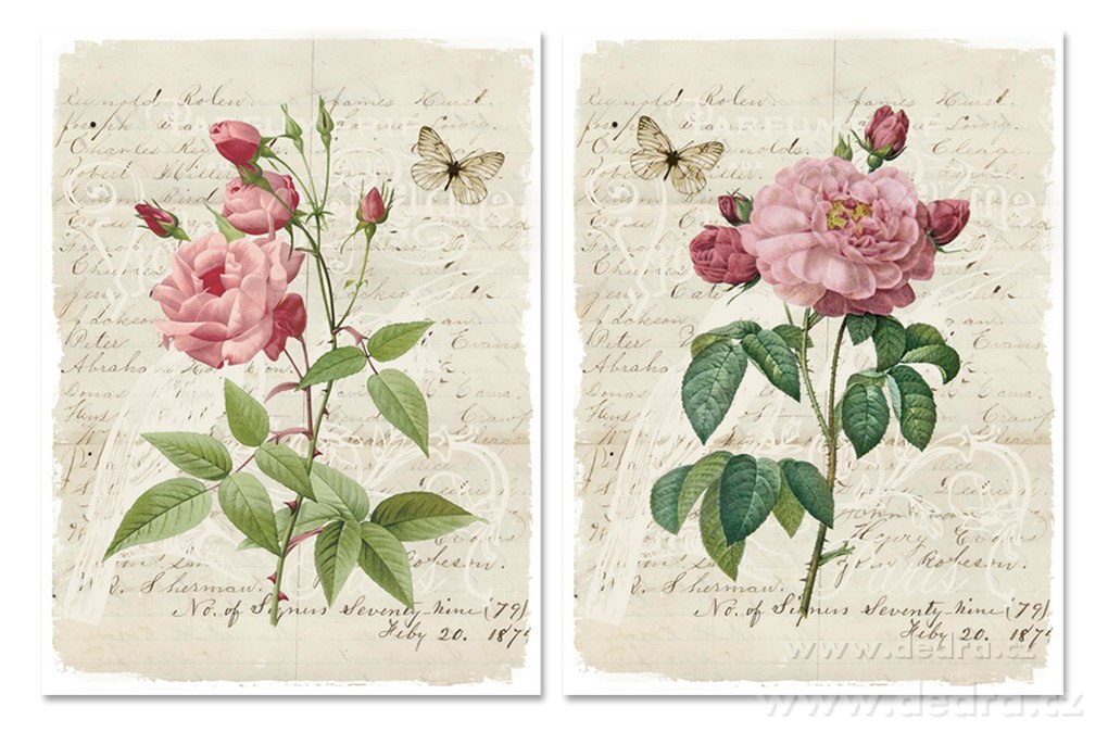 2ks obrazů na plátně, 2x 30 x 40 cm | Obrazy a rámečky ­čľ╝´ŞĆ | Grand Móda