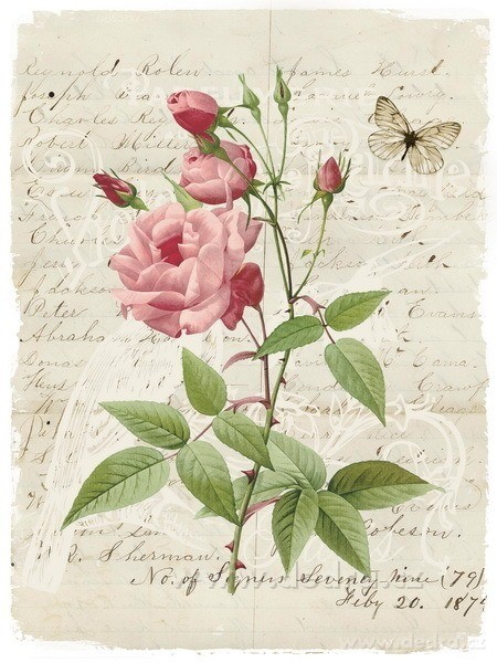 2ks obrazů na plátně, 2x 30 x 40 cm – náhled 2 | Grand Móda