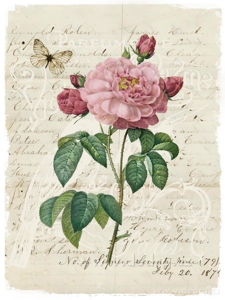 2ks obrazů na plátně, 2x 30 x 40 cm – náhled 3 | Grand Móda