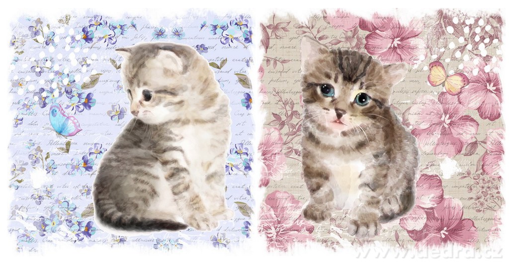 2 ks obrazů na plátně, každý 28x28 cm | Nástďnné obrazy | Grand Móda