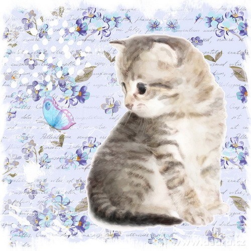 2 ks obrazů na plátně, každý 28x28 cm – náhled 2 | Grand Móda