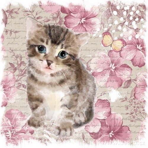 2 ks obrazů na plátně, každý 28x28 cm – náhled 3 | Grand Móda