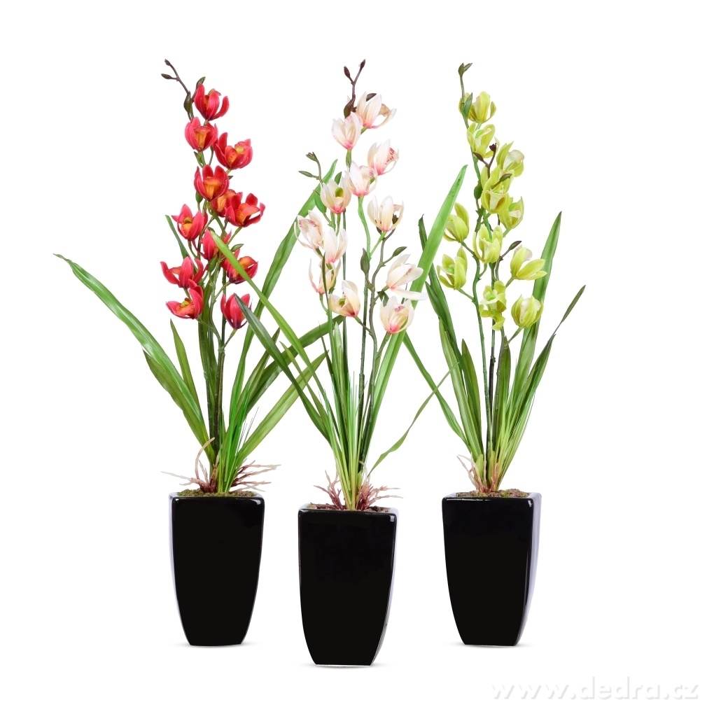 53 cm ORCHIDEA, v květináči zelená – náhled 3 | Grand Móda