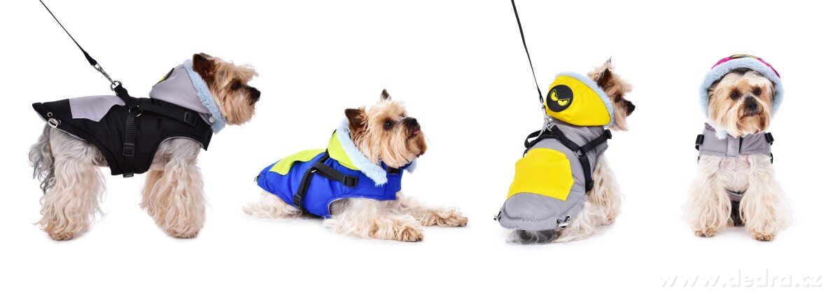 3v1 PROŠÍVANÁ BUNDA, kšíry a vodítko v jednom, pro pejsky – náhled 3 | Grand Móda