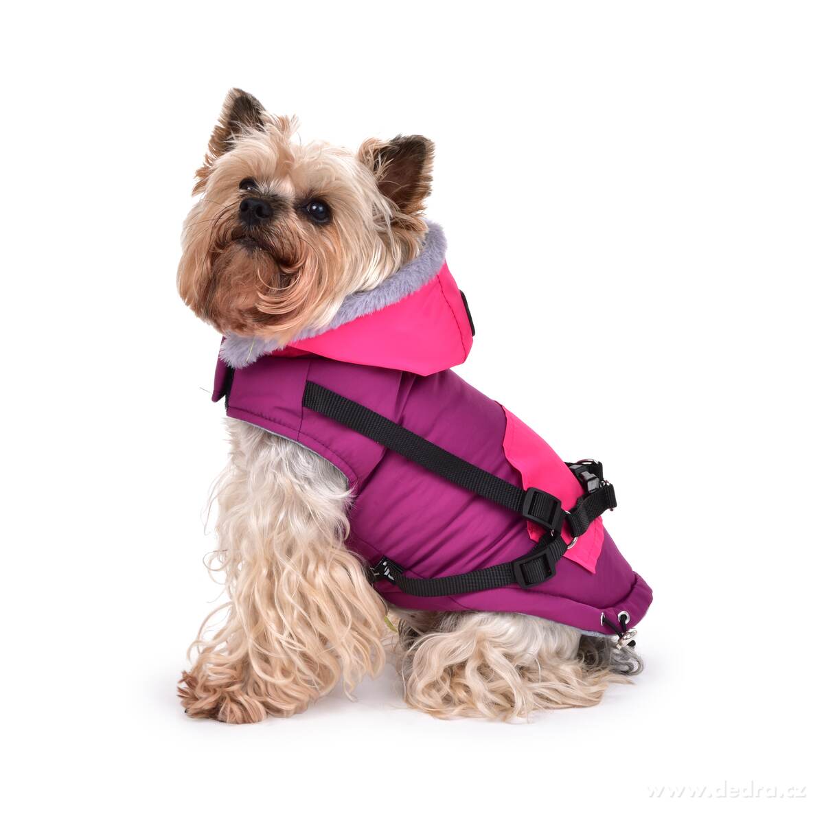 REBELITO® 3v1, bunda pro psy, prošívaná bunda + kšíry & vodítko, růžovo-fialová – náhled 3 | Grand Móda