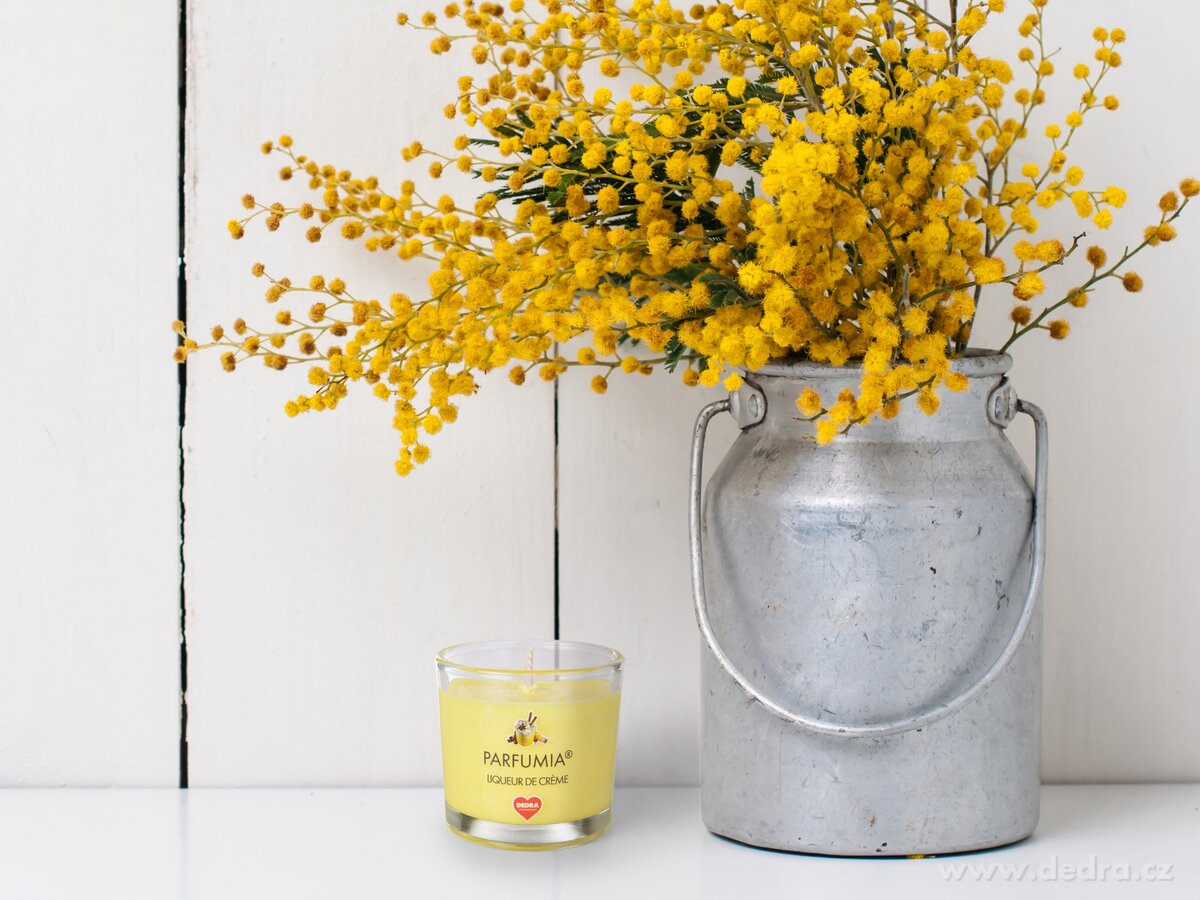 LIQUEUR DE CRÈME, votivní sójová svíčka, PARFUMIA®, 55 ml – náhled 3 | Grand Móda