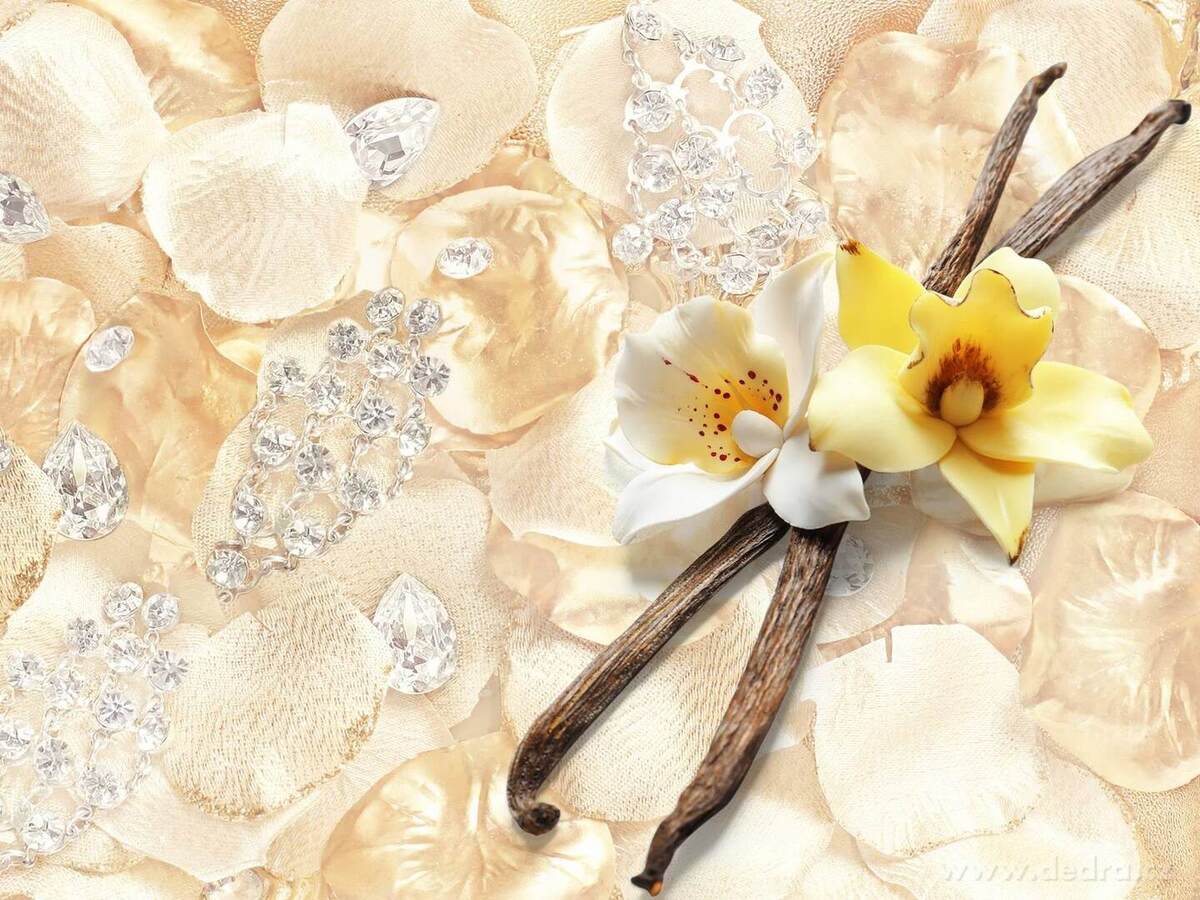 LIQUEUR DE CRÈME, votivní sójová svíčka, PARFUMIA®, 55 ml – náhled 5 | Grand Móda