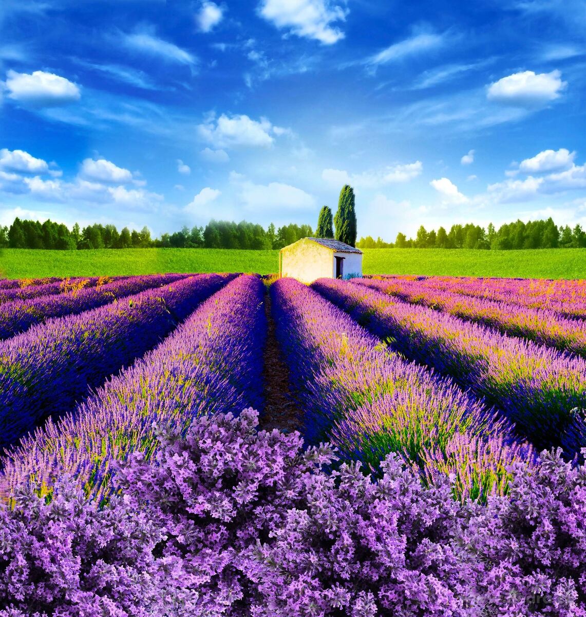 Vonná sašetka, RELAXATION, závěsný vonný sáček PARFUMIA® – náhled 2 | Grand Móda