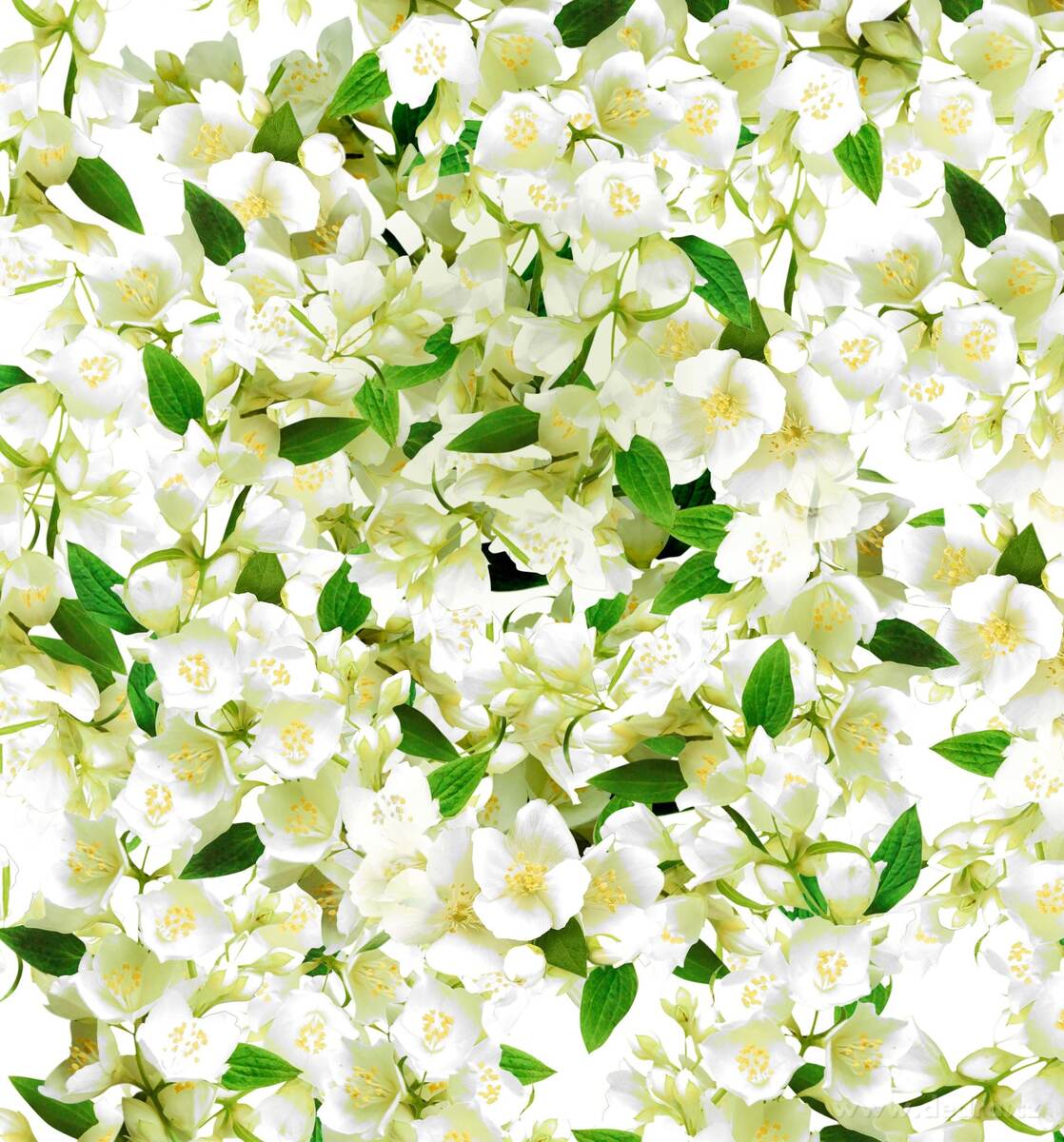 Vonná sašetka, ESSENCE DE JASMINE, závěsný vonný sáček PARFUMIA® – náhled 2 | Grand Móda