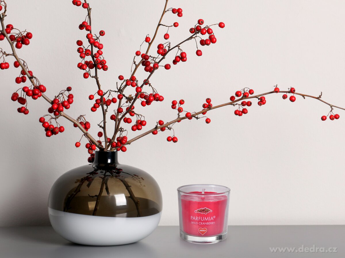 WILD CRANBERRY, votivní sójová svíčka, PARFUMIA®, 55 ml – náhled 4 | Grand Móda