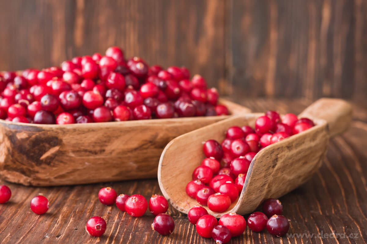 WILD CRANBERRY, votivní sójová svíčka, PARFUMIA®, 55 ml – náhled 6 | Grand Móda