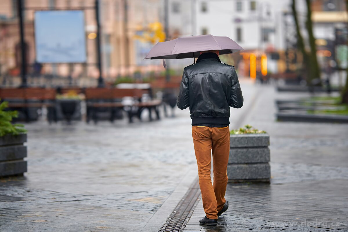 FC BLACK BADGE | Automatick├Ż dvoubarevn├Ż de┼ítn├şk | ┼íed├Ż/─Źern├Ż | 8ramenn├í konstrukce & kompaktn├ş rozm─Ťry - obr├ízek 3 | De┼ítn├şky a v─Ťj├ş┼Öe | Grand M├│da