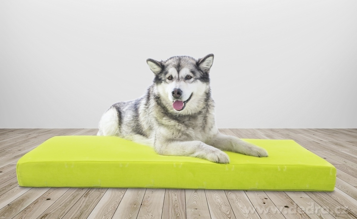 ANATOMIXX® BABY, dětská matrace z paměťové pěny 60 × 120 × 10 cm, oboustranná & ergonomická – náhled 4 | Grand Móda