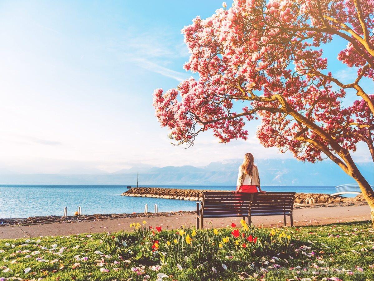 Parfém na praní a úklid PARFUMAGE® MAGNOLIA – náhled 3 | Grand Móda