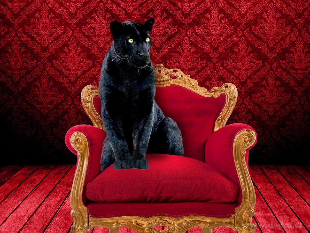 PARFUMAGE RED VELVET, Parfém na praní a úklid – náhled 6 | Grand Móda